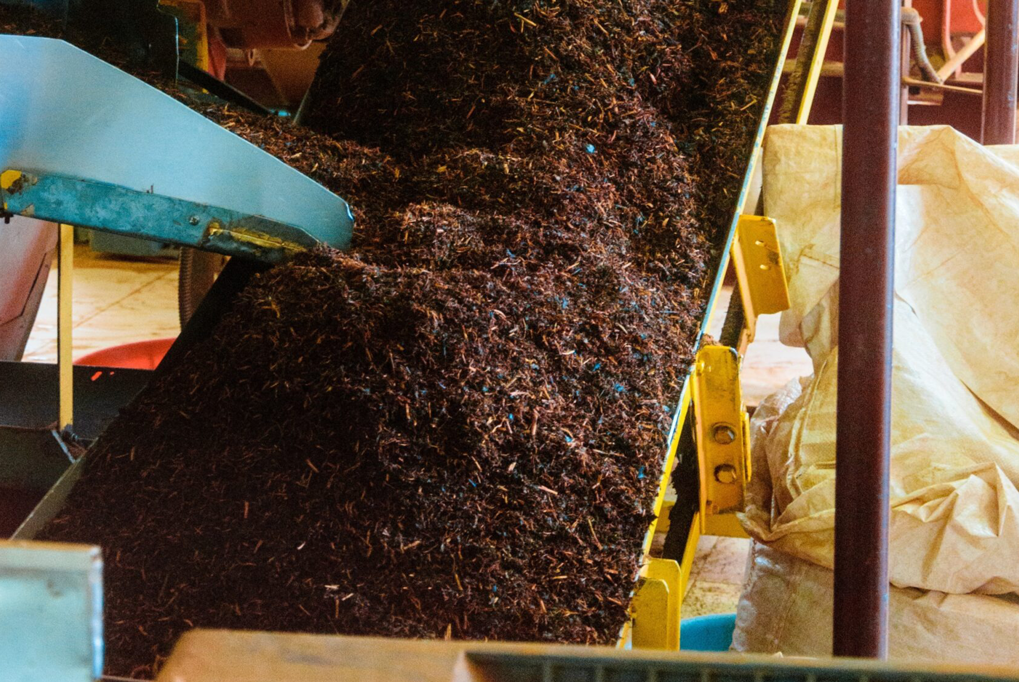 Kurupanawa Tea Factory